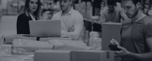 People reviewing logistics services on a computer