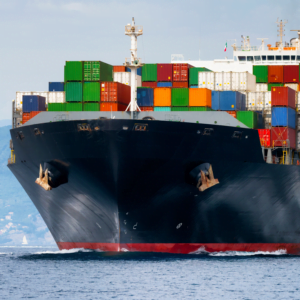 Comprehensive Import Services - Customs Clearance, Drayage, FCL, LCL, and Warehousing by MVP Logistics